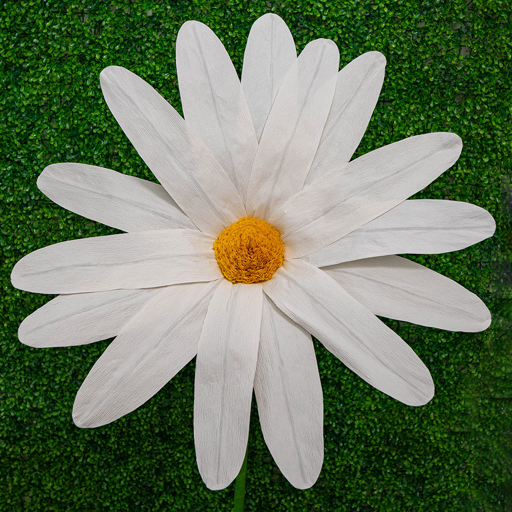 White Large Daisy-1