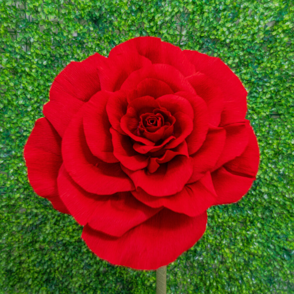 Medium Red Rose